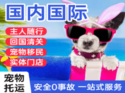 阿尔山机场托运国际宠物托运 【国